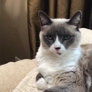 Meet your Posher, Philip